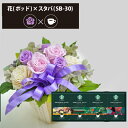プリザーブドフラワー + スターバックス オリガミ コーヒーセット フラワーポッド (パープル) 送料無料(北海道・沖縄を除く) 【_ HAREPB_