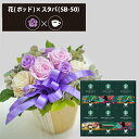 プリザーブドフラワー + スターバックス オリガミ コーヒーセット フラワーポッド (パープル) (即日発送) 送料無料(北海道・沖縄を除く) 【_ HAREP...