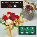 プリザーブドフラワー + スターバックス オリガミ コーヒーセット フラワーポッド (レッド) (即日発送) 送料無料(北海道・沖縄を除く) 【_ HAREPB_(4)