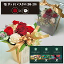 プリザーブドフラワー + スターバックス オリガミ コーヒーセット フラワーポッド (レッド) (即日発送) 送料無料(北海道・沖縄を除く) 【_ HAREPB...
