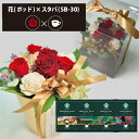 プリザーブドフラワー + スターバックス オリガミ コーヒーセット フラワーポッド (レッド) (即日発送) 送料無料(北海道・沖縄を除く) 【_ HAREPB...
