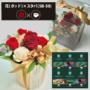 プリザーブドフラワー + スターバックス オリガミ コーヒーセット フラワーポッド (レッド) 送料無料(北海道・沖縄を除く) 【_ HAREPB_