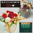プリザーブドフラワー + スターバックス プレミアムミックス コーヒーセット フラワーポッド (レッド) 送料無料(北海道・沖縄を除く) 【_ HAREPB_