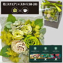 プリザーブドフラワー + スターバックス オリガミ コーヒーセット スクエア (グリーン) (即日発送) 送料無料(北海道・沖縄を除く) 【_ HAREPB_