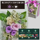 プリザーブドフラワー + スターバックス オリガミ コーヒーセット スクエア (パープル) (即日発送) 送料無料(北海道・沖縄を除く) 【_ HAREPB_