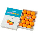 お取寄 蒲郡 温室みかん SW567 (出荷日6/20-8/10頃) 送料無料(北海道・沖縄を除く)【 25sg _