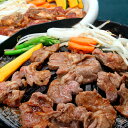 お取寄 帯広 五日市じんぎすかん SW1140 送料無料(北海道・沖縄を除く)【_