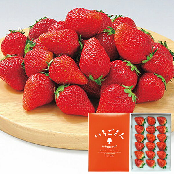 お取寄 佐賀県産 いちごさん 400g (出荷日:12/14-12/27頃) 送料無料(北海道・沖縄を除く)【_ s25wg _