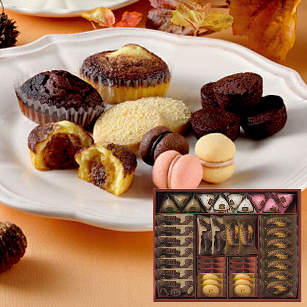 数量限定 シーキューブ ティラミス・ファンタジスタL CAS(TF)-50 送料無料(北海道・沖縄を除く)【_ s25wg _