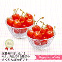 母の日遅れてごめんね お取寄 山形県産佐藤錦 ハウスさくらんぼ (出荷日5/12-) 送料無料(北海道・沖縄を除く)【代引/熨斗包装不可】 s25mf _