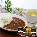 ビーフカレー&フリーズドライスープ詰合せ RW25 RW-25 【_