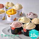 お取り寄せ 銀座千疋屋 銀座プレミアムアイス&ソルベ 10個 PGS-139N 送料無料(北海道・沖縄を除く)【代引/熨斗包装不可】_