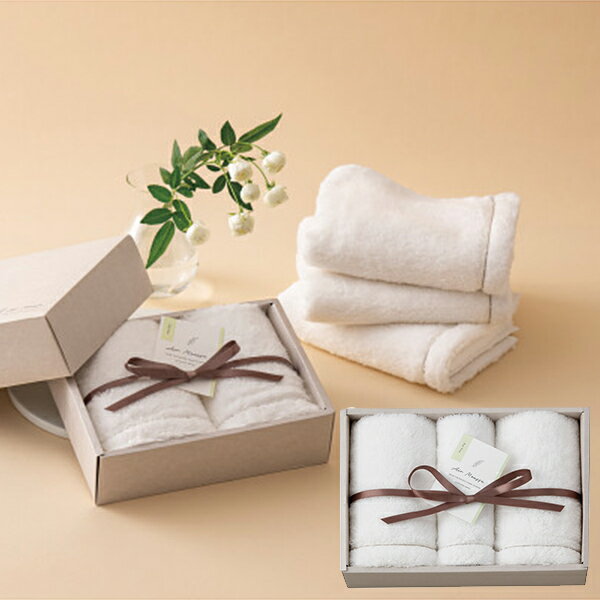 エアームース フェイス・ウォッシュタオルセット AR6330 【_