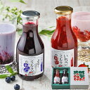ICHIBIKO いちごミルクのもとギフトセット 1050237 【_