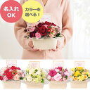 お取り寄せ バースデーフラワー 生花 アレンジ (お名入れ) 送料無料(北海道・沖縄を除く)【代引/熨斗包装不可】_