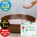 防災食 メール便4個までOK! レスキューライス 1食分 梅がゆ RR-OKU40Y7 スプーン付 (即日発送)(賞味期限:2032/9)【メール便専用・同梱不...