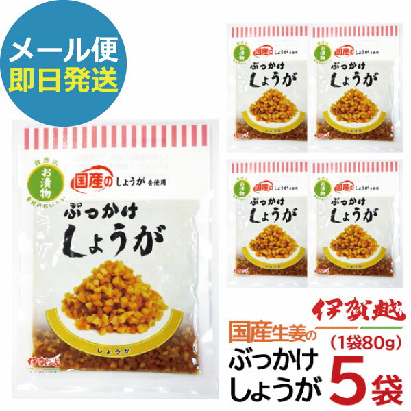 漬物 伊賀越 ぶっかけしょうが 5袋 惣菜 国産 漬け物 セット (即日発送) 送料無料 (メール便/同梱不可)【_■東海_
