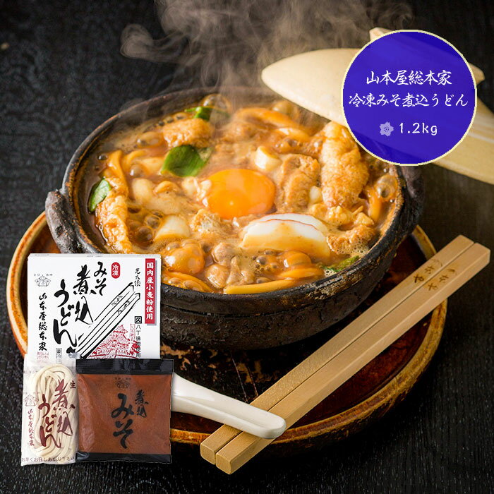 (ケース売り12P) お取り寄せ 山本屋総本家 冷凍 みそ煮込うどん 1ケース(12個入) 味噌煮込 うどん 送料無料(北海道・沖縄を除く)【代引/熨斗包装不可】_