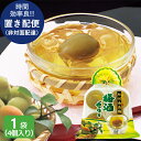 1購入1個限定 金澤兼六製菓 紀州南高梅 梅酒ゼリー KUN-4 4個入巾着1袋 (即日発送) 送料無料 (置き配便・同梱不可)【_ ポイ活 _