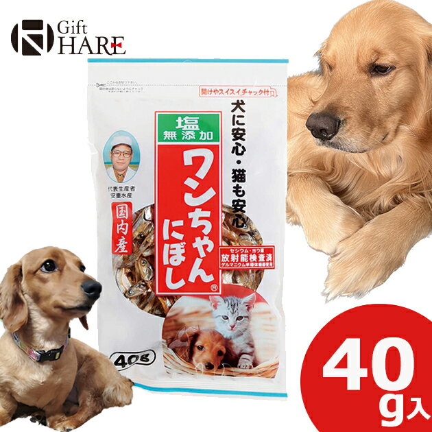 塩無添加 ワンちゃんにぼし 40g 犬 おやつ にぼし ドッグフード 【熨斗/包装紙/メッセージカード/無料ビニール袋不可】_