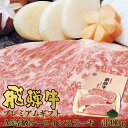 お取り寄せ 飛騨牛 プレミアムギフト A5等級 サーロインステーキ 480g(約160g×3枚) NP-86 ネオプライムヒグチ 送料無料(北海道・沖縄を除く)...