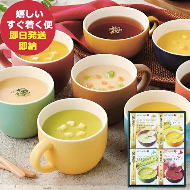 �̳�ƻ�����ץ��եȥ��å� HS-20C �̳����� ������ �͹礻 (¨��ȯ��) ����̵��(��������)��_