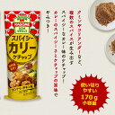 カゴメ スパイシ－カリーケチャップ 170g 1本 カゴメトマトケチャップ (あす楽) 【熨斗/包装紙/メッセージカード/無料ビニール袋不可】_ 3