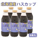 2025 お中元 北海道産 ハスカップジュース 500ml 6本 バイオアグリたかす ギフト のし対応可 夏ギフト