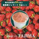 【26日9:59までポイント4倍★】香美苺のジェラート 6個セット(兵庫県但馬のイチゴを50％以上使用）