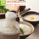 丹波篠山産 山の芋 味とろろ1箱 YT60（60g×15袋） 山芋 河南勇商店 ギフト のし対応可