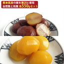 国産 熊本県産 栗 渋皮煮 甘露煮 (自然栗・和栗各550g)詰め合わせ 自然栗本舗 熊木産業 ギフト のし対応可
