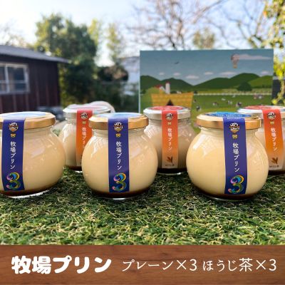 牧場プリン3（3個入り）牧場プリンほうじ茶（3個入り） 無添加、無着色、無香料 低温殺菌 大富牧場フライングカウ 【日付指定は不可】