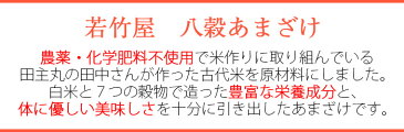 若竹屋 八穀あまざけ 720ml瓶×6本セット 米麹 甘酒 砂糖不使用 ノンアルコール