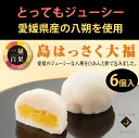 【18日9:59まで5倍】一福百果 はっさく大福　6個入り 愛媛県今治にある和菓子屋 清光堂