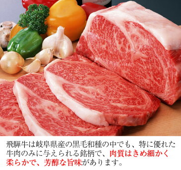 【21日9:59まで5倍】蜜入り飛騨りんごの飛騨牛カレー飛騨山椒入り(箱なし200g×5個)【平成27年度の高山市新作土産品「奨励賞」受賞】