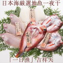 2025 お中元 日本海厳選地魚一夜干「一日漁」吉祥天(きっしょうてん) 甘鯛・のどぐろ・白いか(またはするめいか)・かれい 国産 島根産 無添加 岡富商店 -...