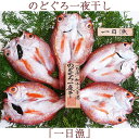 のどぐろ一夜干「一日漁」小 70〜100gサイズ(5〜6枚) 国産 島根産 無添加 岡富商店 -おかとみ- ギフト のし対応可