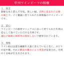 甲州ワインビーフシチュー　6個セット 小林牧場 ギフト のし対応可 3