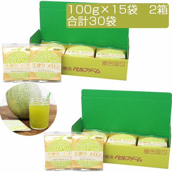 国産 生搾り 100 メロンジュース （100g×15袋）×2セット 合計30袋 冷凍 採れたてすり搾り製法 完全無添加 ベルファーム