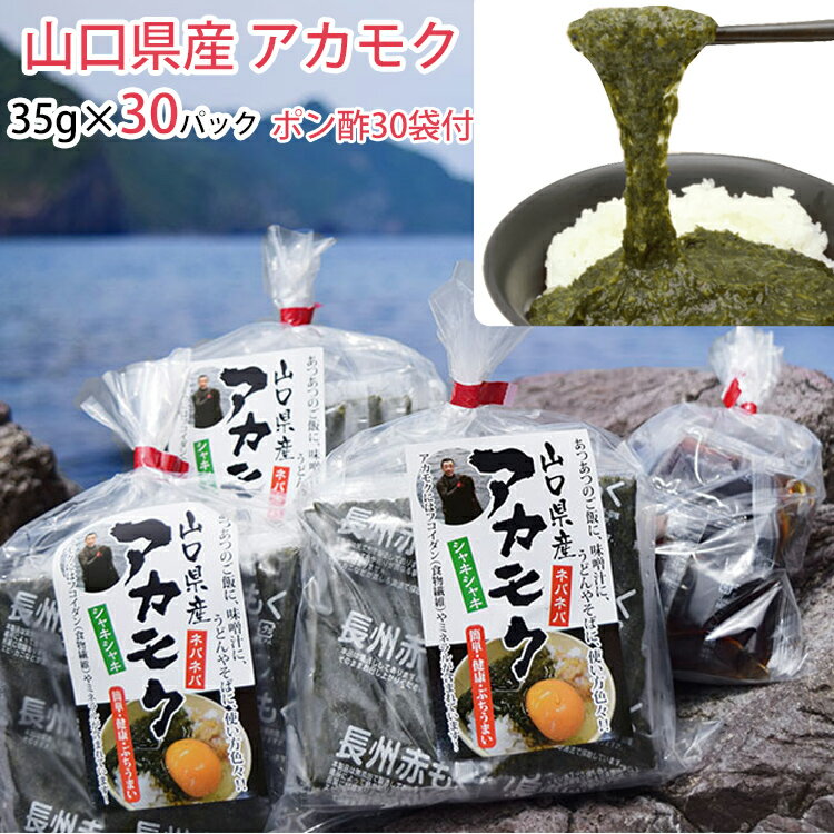 アカモク 山口県産「まいにちアカモク」35g×30パックセット（無添加　長門ゆずきちポン酢30袋付き）　あかもく 新友商店 アカモク家フコイ団十郎商店