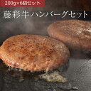 藤彩牛 ハンバーグセット 200g×6個 計1200g 九州産黒毛和牛 フジチク ギフト のし対応可