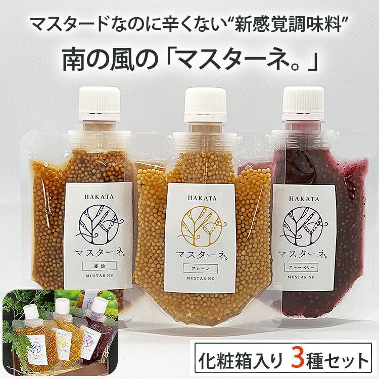 マスターネ パウチ 3種 セット 化粧箱入り (プレーン、醤油、ブルーベリー 各120g) ギャラリー茶寮 南の風 調味料 マスタード のし対応