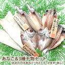 2025 お中元 島根県沖 あなご (一夜干し)&3種の干物(のどぐろ・あじ・かます)詰合せセット 国産 島根産 無添加 岡富商店 -おかとみ- ギフト のし対応可 夏ギフト