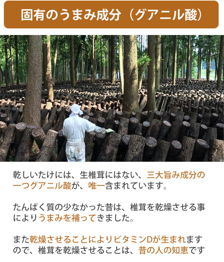 ��������ꥨ����ä����ޤߤ����������ѥ�2�ܥ��å� ���ľ�Ź �ܺ긩�� ���ڴ������� ��¸��������Ĵ̣�����Ի���