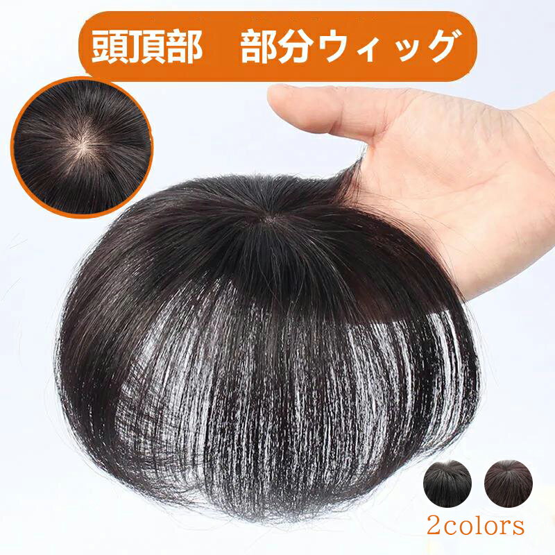 ウィッグ ヘアピース ミニサイズ かつら ポイントウィッグ 人毛100% 白髪隠れ 増毛 簡単 自然 引き抜き式 15CM ブラック ブラウン