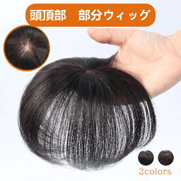 ウィッグ ヘアピース ミニサイズ かつら ポイントウィッグ 人毛100％ 白髪隠れ 増毛 簡単 自然 引き抜き式 15CM ブラック ブラウン