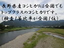 【新米】【送料無料】令和5年産長野県産コシヒカリ玄米30kg／白米27kg【別途送料】（沖縄・一部離島+3000円、北海道・九州+650円、四国+400円）注文後、修正金額メールを送らせていただきます。 2