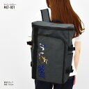 ルーニーテューンズ リュック ボックス型 スクエア 大容量 20L a4 背面ファスナー ポケットたくさん 黒 刺繍 大人 レディース メンズ 女子 男子 女の子 男の子 男女兼用 大学生 高校生 中学生 小学生 通勤 通学 旅行 おしゃれ かわいい 可愛い キャラクター グッズ 人気 2