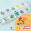 ドライフラワー 封入パーツ レースフラワーと小花 ジェルネイル 花 レジンパーツ レジン材料 レジン素材 自然素材 送料無料 アクセサリー パーツ ハンドメイド...