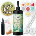 【店内最大P20倍】＼20％OFF／ パジコ 太陽の雫 500g 1本 レジン封入セット付 uvレジ ...